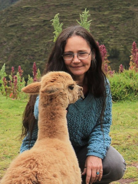 alpaca-animali-dolci-e-socevoli