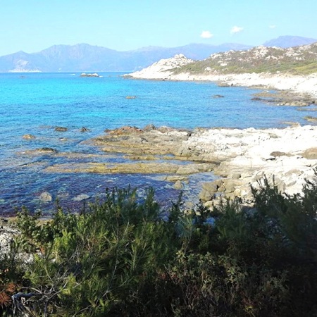 corsica-costa-rocciosa